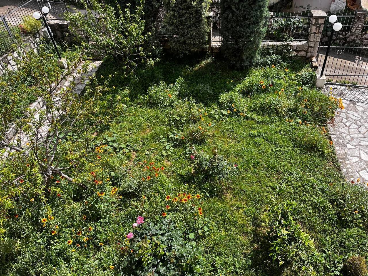 Apartments In Villa Viktoria Sutomore Exterior foto