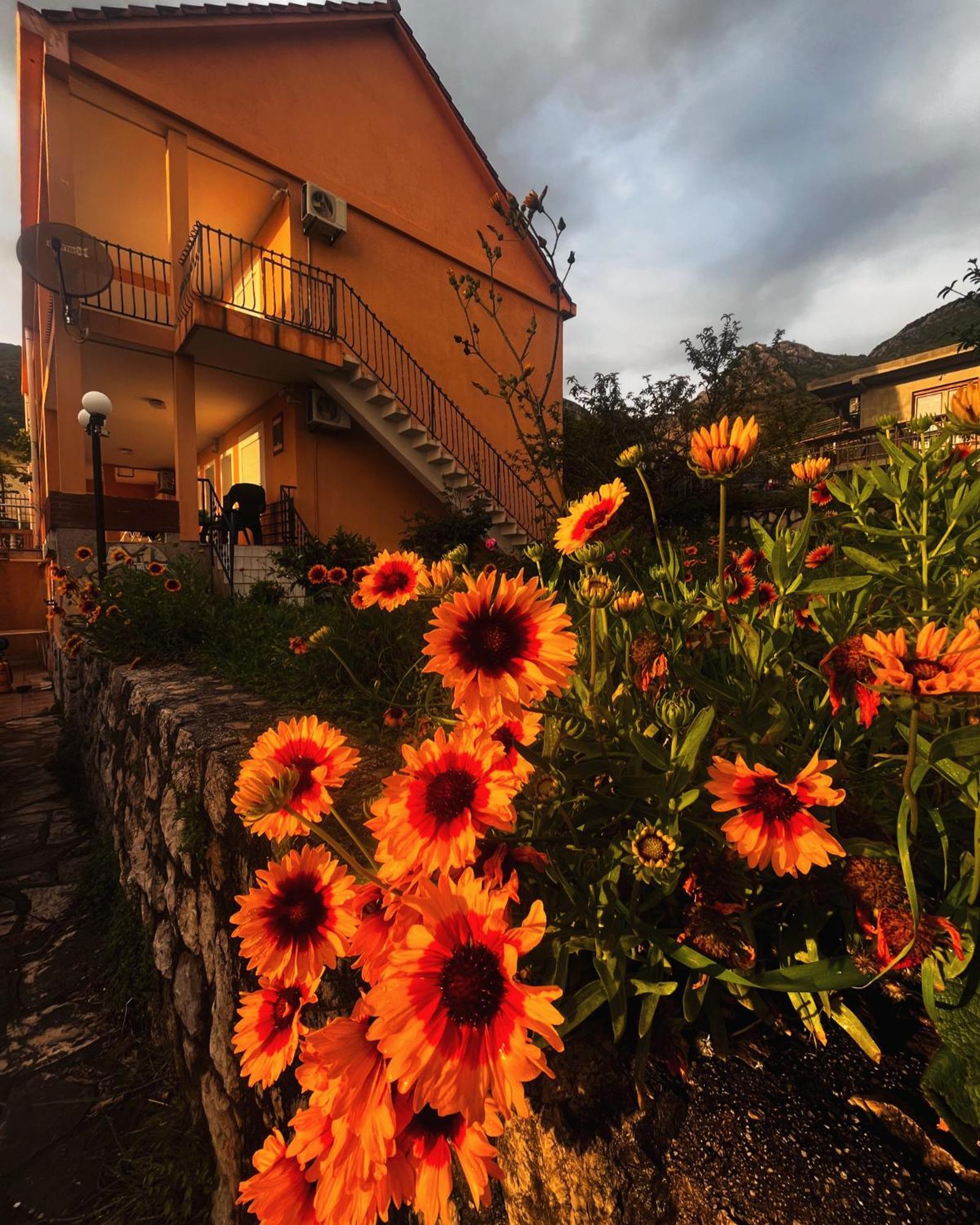 Apartments In Villa Viktoria Sutomore Exterior foto
